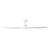 SURF 60 DC ceiling fan with LED light