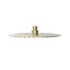 Elanna Rain Shower Head 250 Round