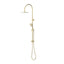 Elanna Combination Shower Set with Gooseneck Arm