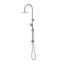 Elanna Combination Shower Set with Gooseneck Arm