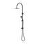 Elanna Combination Shower Set with Gooseneck Arm