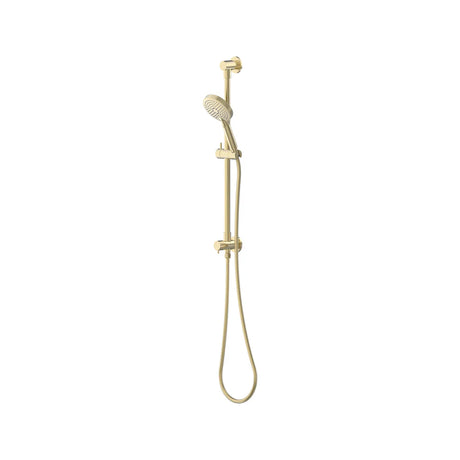 Elanna Diverter Rail Hand Shower Bottom Inlet Top Outlet