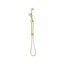 Elanna Rail Hand Shower Bottom Inlet