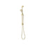 Elanna Rail Hand Shower Top Inlet