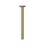 Elanna Ceiling Arm 300