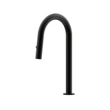 Leggero Pull Out Spray Sink 200 Curved Spout Lead Free