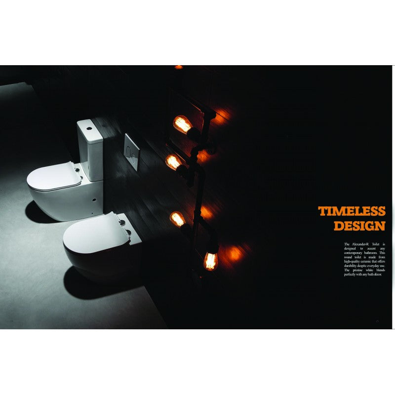 Alexander-R Rimless Nano Glaze Wall Faced Toilet (Gloss White)