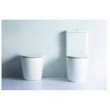 Alexander-R Rimless Nano Glaze Wall Faced Toilet (Gloss White)
