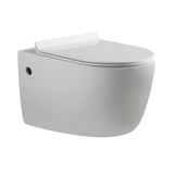 Alexander-R Rimless Nano Glaze Wall Hung Toilet (Gloss White)