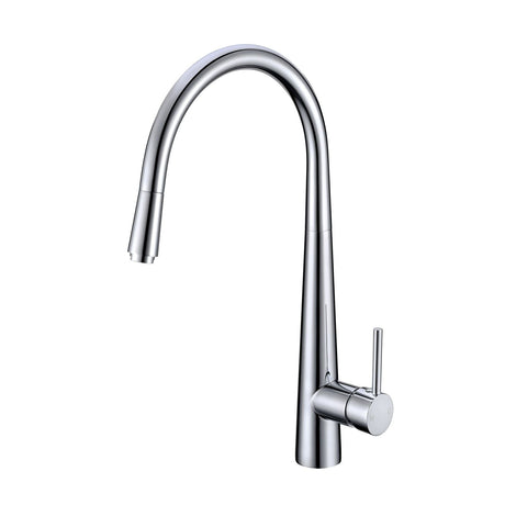 AQU Round Pull Out Kitchen Sink Mixer Tap