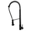 AQU Tall Spring Pull Out Kitchen Mixer - Black