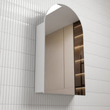 AULIC Canterbury Shaving Cabinet