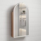 AULIC Canterbury Shaving Cabinet (with LED)