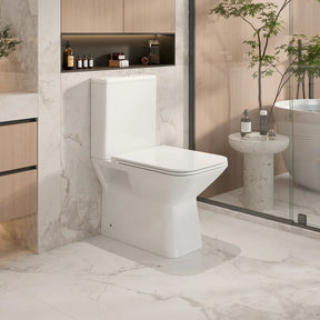 Aria Back-to-Wall Toilet Suite (Gloss White)