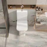 Aria Back-to-Wall Toilet Suite (Gloss White)