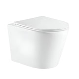 Berlin66 Wall Hung Toilet Pan (Gloss White)
