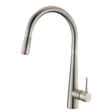 AQU Round Pull Out Kitchen Sink Mixer Tap