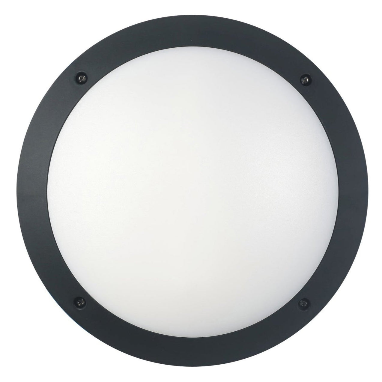BULK: Round LED Bulkhead Lights IP66 IK10