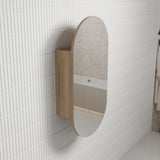 AULIC Beau Monde Shaving Cabinet 450mmW