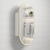 AULIC Beau Monde Front-Lit LED Shaving Cabinet 450mmW