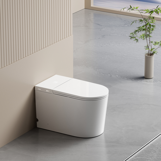 Byron Smart Toilet One-Piece Ceramic Instant Heating Tornado Flush
