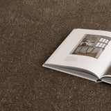 Nessa Brown Jellybean Rug (N800)