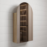 AULIC Canterbury Shaving Cabinet 500mmW