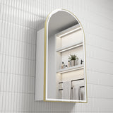 AULIC Canterbury Shaving Cabinet (with Front-Lit LED)-500mmW