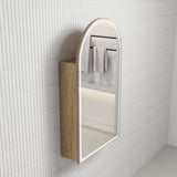 AULIC Canterbury Shaving Cabinet (with Front-Lit LED)-500mmW