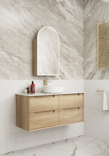 AULIC Canterbury Shaving Cabinet (with Front-Lit LED)-500mmW