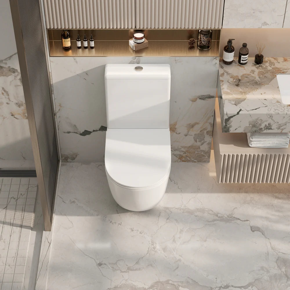 Cera Rimless Back To Wall Toilet Suite (Gloss White)