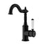 Clasico Goose Neck Ceramic Handle Basin Mixer HYB868-202A - Matte Black