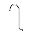 Clasico Gooseneck Shower Arm Chrome