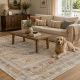 Cordelia Classic Beige Multi Rug