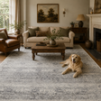 Cordelia Classic Grey Rug