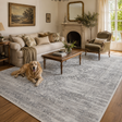Cordelia Medalion Grey Rug