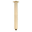 Cresta Ceiling Arm - 300mm