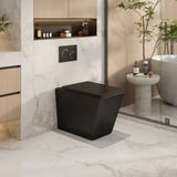 Enox99 Rimless Wall Faced Floor Toilet Pan (Matte Black)