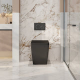 Enox99 Rimless Wall Faced Floor Toilet Pan (Matte Black)