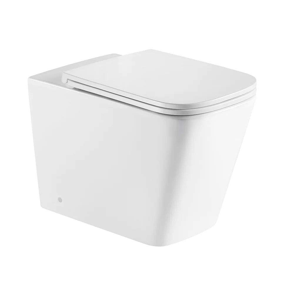 Enox99 Rimless Wall Faced Floor Toilet Pan (Gloss White)