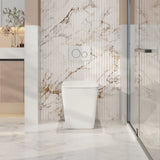 Enox99 Rimless Wall Faced Floor Toilet Pan (Gloss White)
