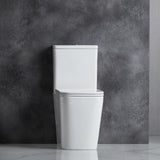 Enox Rimless Back To Wall Toilet Suite (Gloss White)