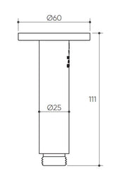 Elanna Ceiling Arm 100 drawing