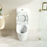FIFA Back-to-Wall Toilet Suite (Gloss White)
