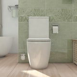 Alexander-R Rimless Nano-Glaze Toilet Suite (Gloss White)