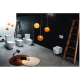 Flay-R Rimless Nano Glaze Toilet