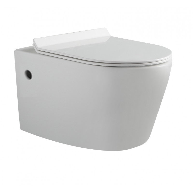 Flay-R Rimless Nano Glaze Wall Hung Toilet (Gloss White)