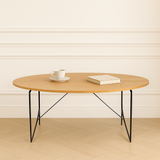 Georgina Steel Base Coffee Table