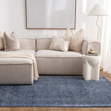 Heritage Distressed Medallion Blue Rug - H104: (Different Tassel)