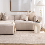 Heritage Distressed Border Beige Rug - H106